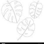 Vector Jungle Leaves Set. Tropical Exotic Plant Leaf Isolated On Inside Outline Jungle Leaf Template Printable