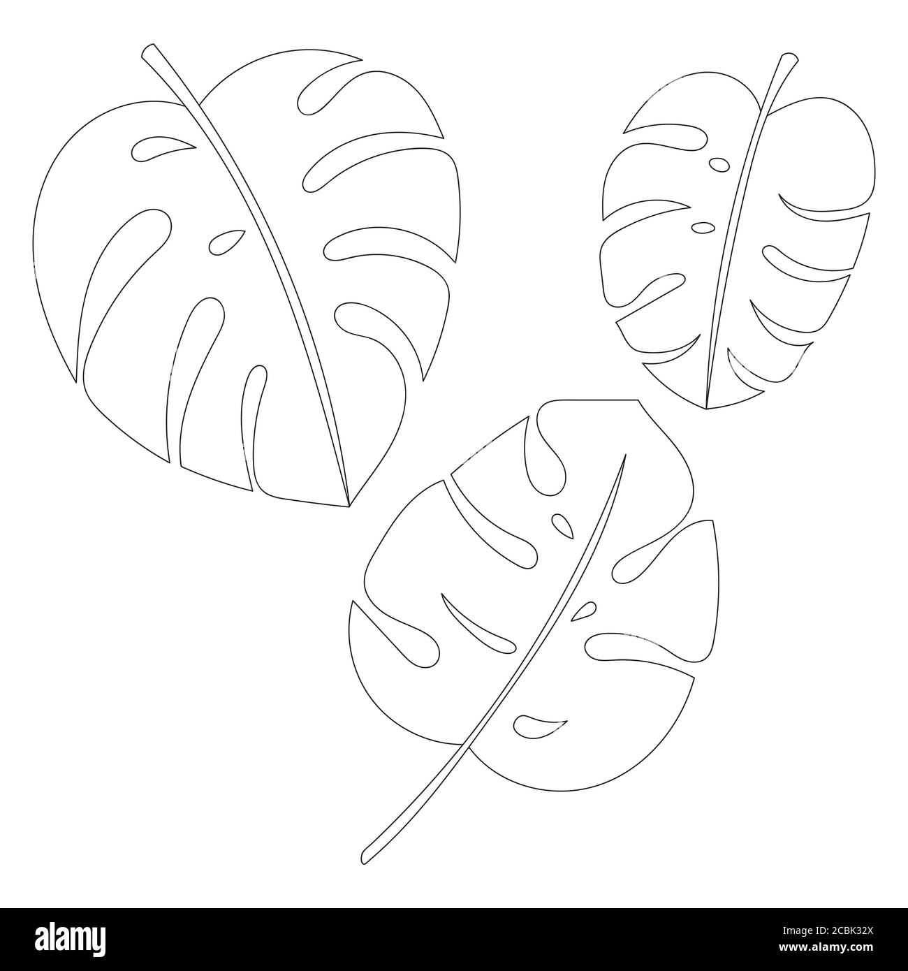 Vector Jungle Leaves Set. Tropical Exotic Plant Leaf Isolated On inside Outline Jungle Leaf Template Printable