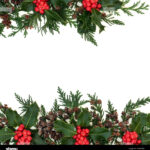 Winter & Christmas Background Border With Holly, Cedar Cypress Inside Christmas Leaves Border