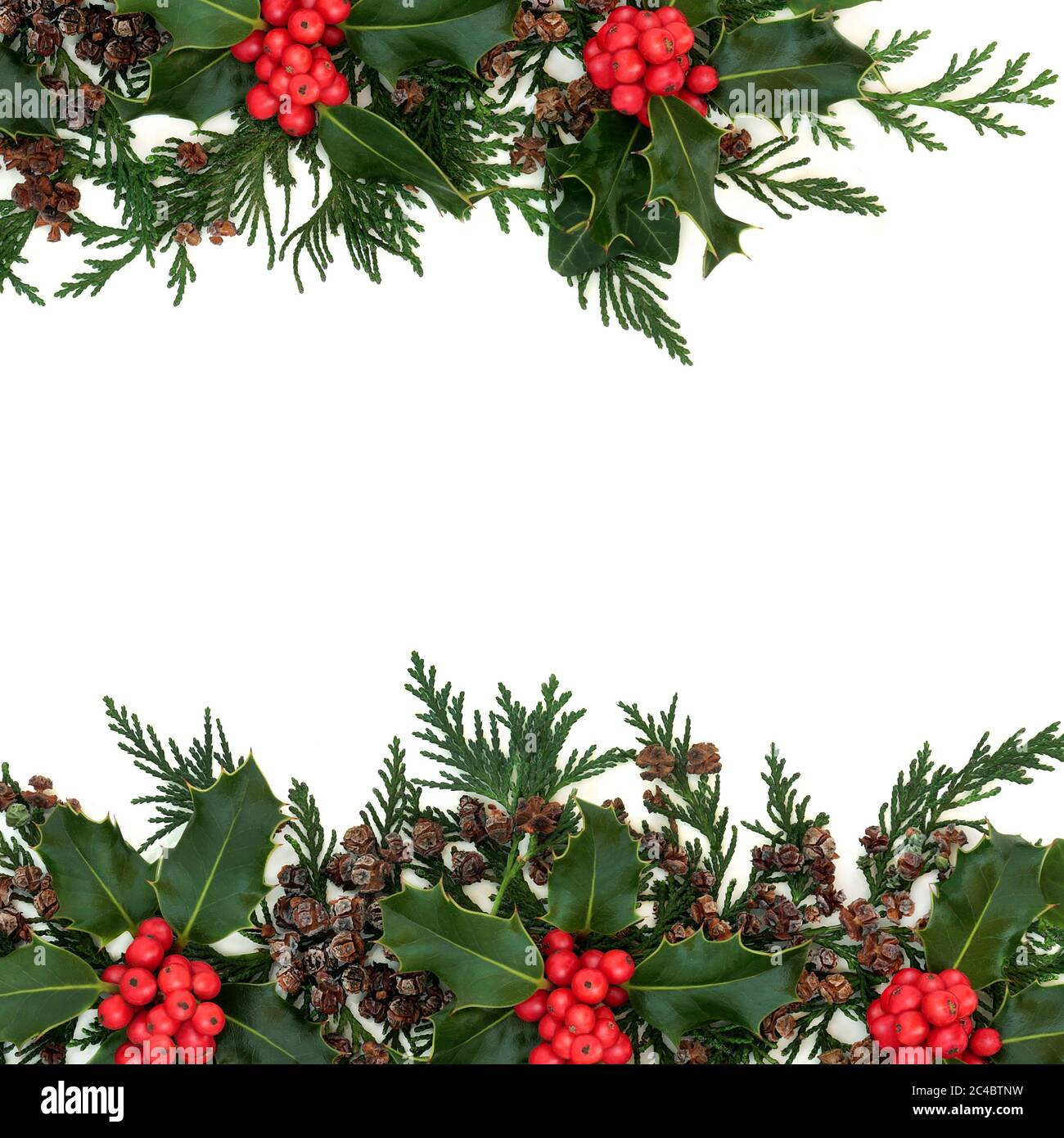 Winter & Christmas Background Border With Holly, Cedar Cypress inside Christmas Leaves Border
